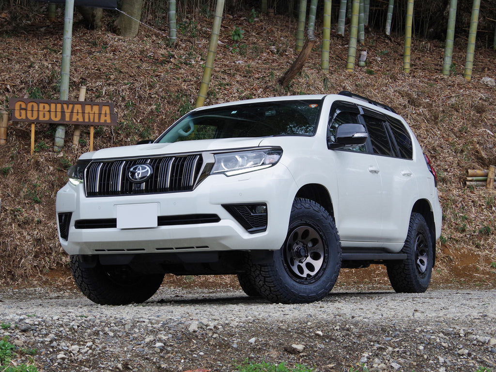 Land Cruiser Prado 150 (2010+) with Air/G Massive wheels